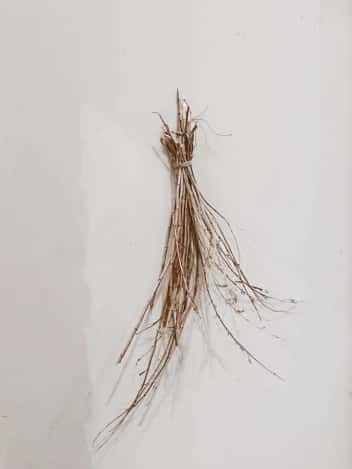 Licorice ingredient