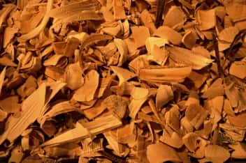 Sandalwood ingredient